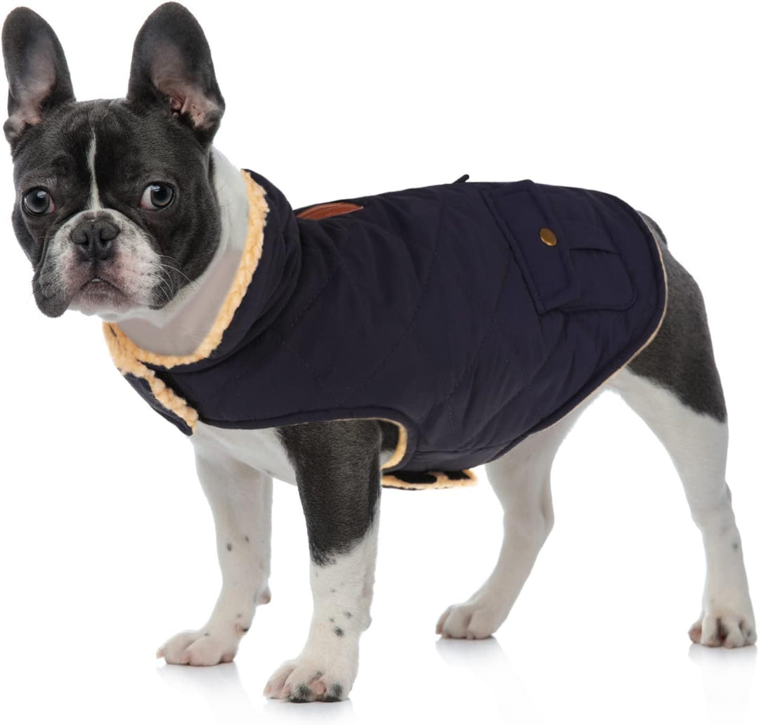 Queenmore Wintermantel Hund Wasserdicht Hundemantel Für Kleine Hunde Warme Hundejacke Winter Quilten