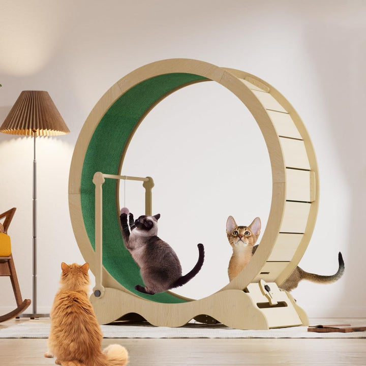 Katzenlaufrad 115cm für Indoor-Katzen - Laufband mit abnehmbarem Teppich, Sicherheitssperre und Spie