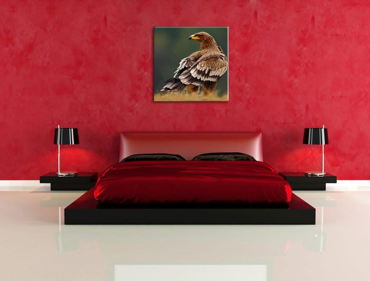 Pixxprint Einsamer Falke mit braunem Gefieder, Format: 70x70 auf Leinwand, 70x70