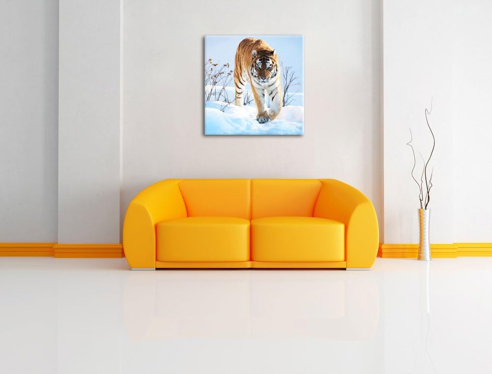 Stolzer Tiger im Schnee, Format: 70x70 auf Leinwand, XXL riesige Bilder fertig gerahmt mit Keilrahme