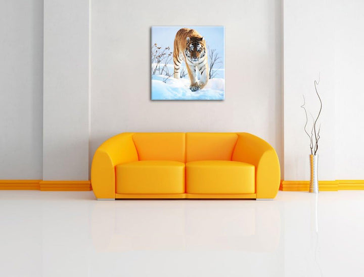 Stolzer Tiger im Schnee, Format: 70x70 auf Leinwand, XXL riesige Bilder fertig gerahmt mit Keilrahme