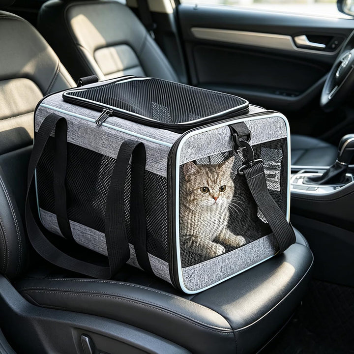 Transportbox Katze faltbar bis 7 kg mit 360° Belüftung Hundetasche | Hundetasche für Katzen kleine H
