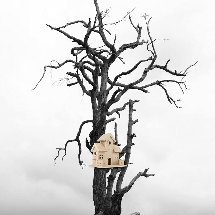 DOITOOL Holz Vogelhaus Nistkasten für Kleine Vögel mit Natürlichem Filigranem Nest Wetterfestes Gart