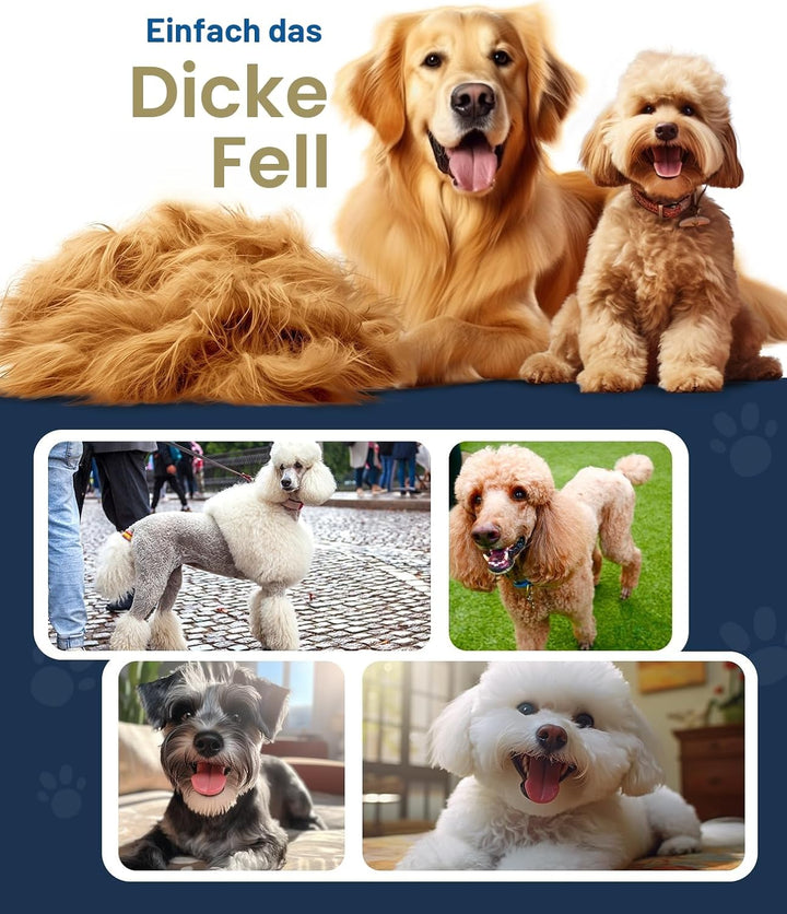 oneisall Leise Hundeschermaschine dichtes fell, IPX7 Wasserdichtes Schermaschine Hund Katze, Profi H