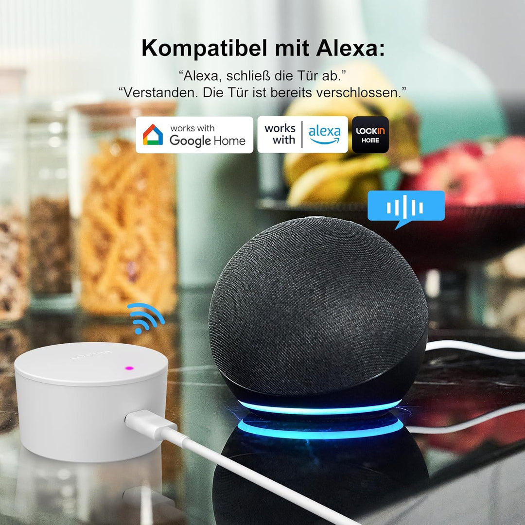 Lockin Smartes Türschloss G30, WLAN & App-Steuerung, Auto-Lock, Alexa- & Google-kompatibel, keyless