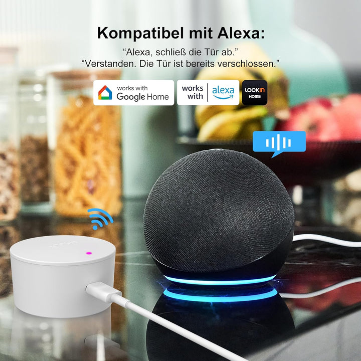 Lockin Smartes Türschloss G30, WLAN & App-Steuerung, Auto-Lock, Alexa- & Google-kompatibel, keyless