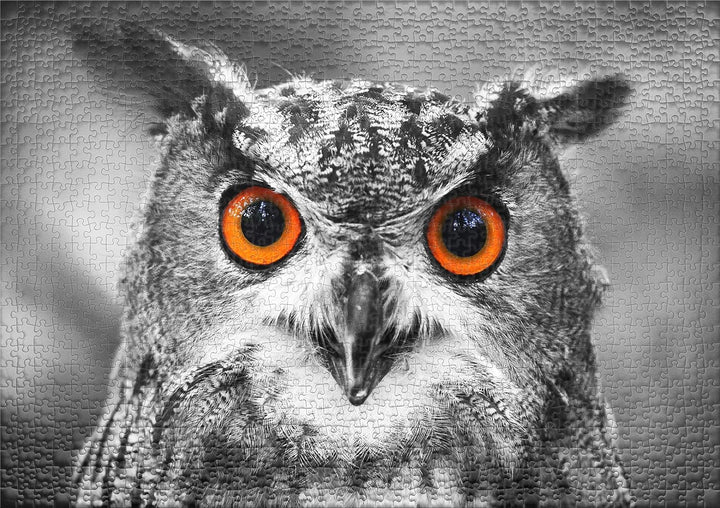 Ulmer Puzzleschmiede - Puzzle Eule - klassisches 1000 Teile Puzzle - Die charakteristischen Augen de