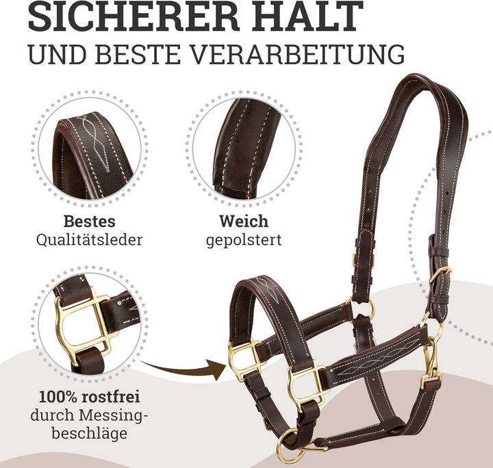 Esposita anatomisches Lederhalfter Deluxe Halfter aus Leder für Pferde Stallhalfter Pferdehalfter -