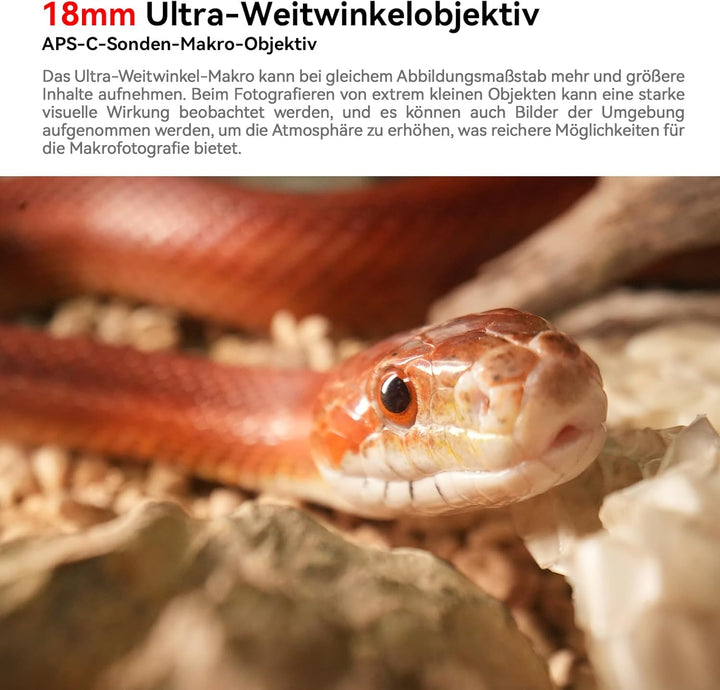 AstrHori 18 mm F8 APS-C Weitwinkel-2X-Makro-Sondenobjektiv mit integriertem Ringlicht für DSLR-Kamer