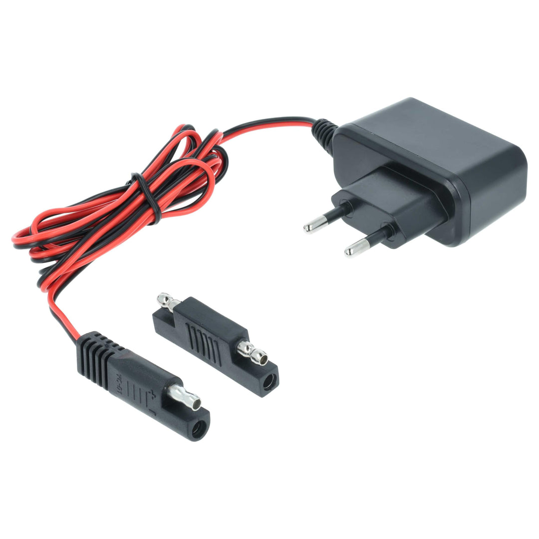 vhbw Ladegerät für Starter Akkus kompatibel mit Scheppach Rasenmäher, 12 V / 0,1 A, 2m