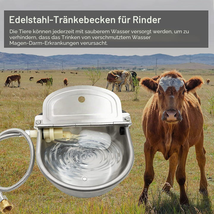 Svauoumu Automatische Tränke Mit Schwimmer Ventil, Edelstahl Rinder Viehtränke Tränkebecken, Tränkeb