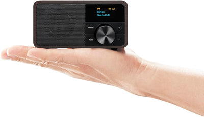 Sangean DDR-7 Genuine DAB+ Radio - FM/UKW Radio - Bluetooth Streaming - OLED Display - Micro USB Ans