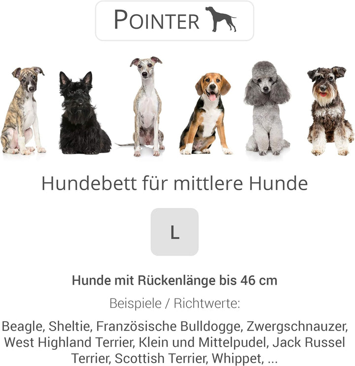 Pointer | Hundebett mit Hundekissen - orthopädisch, waschbar, bequem (L - 80x70 cm, Anthrazit) L - 8