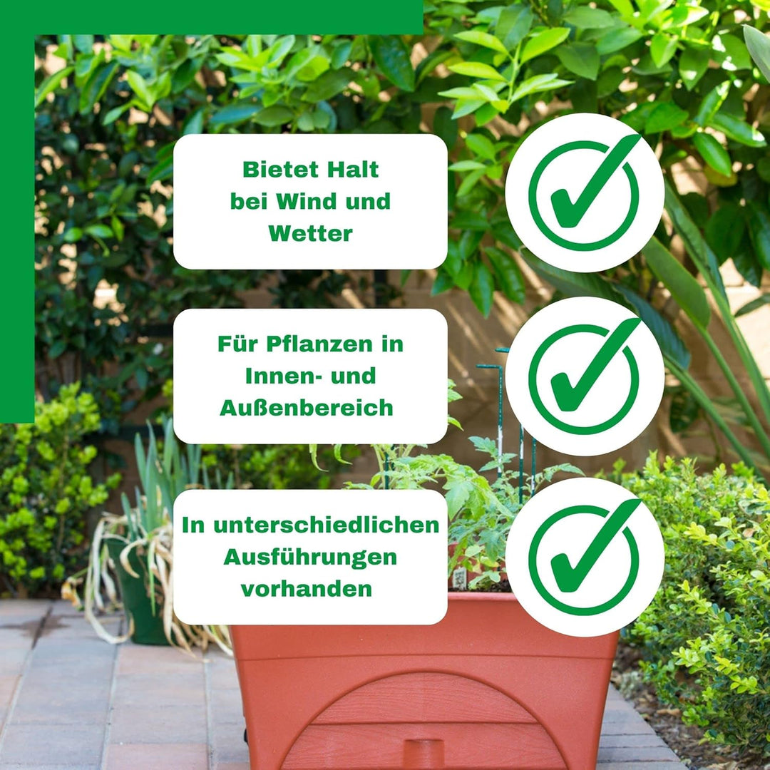 Novatool 10 Strauchstütze 100 cm hoch halbrund 40 cm grün Staudenhalter Blumenhalter Rankengewächs P