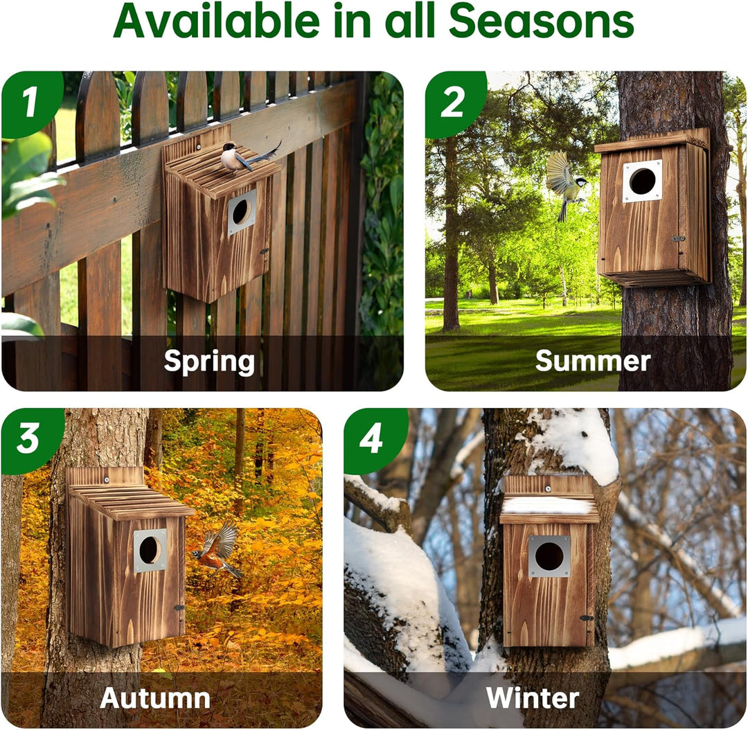Vogelhaus für draussen, Holz-Blauvogelhaus, mit Raubtierschutz, Vogel-Nistkasten, Wildvögelbeobachtu