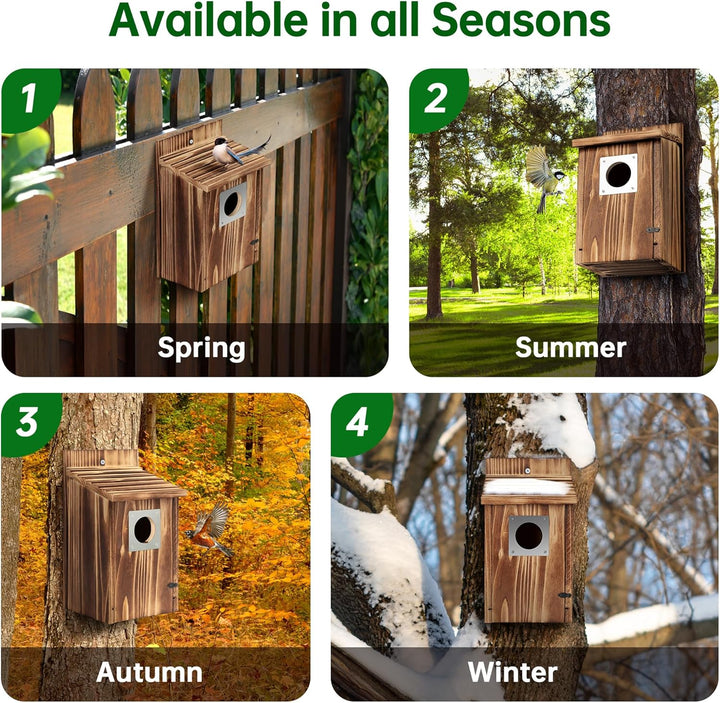 Vogelhaus für draussen, Holz-Blauvogelhaus, mit Raubtierschutz, Vogel-Nistkasten, Wildvögelbeobachtu