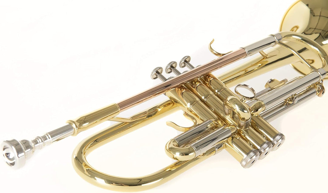 Roy Benson Bb Trompete MOD. TR.202 lackiert, inkl. Etui TR-202, TR-202