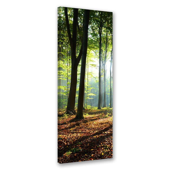 Feeby Leinwand Bilder - Natur - Wald - 30x90 cm- Deko Wohnzimmer - Wandbilder Schlafzimmer - Deko Ae