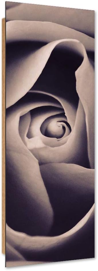 Feeby Dekobild Rose Deko Wand Kunstdruck Natur Beige 50x150 cm Deko Paneel 50x150 cm Beige_a, Deko P