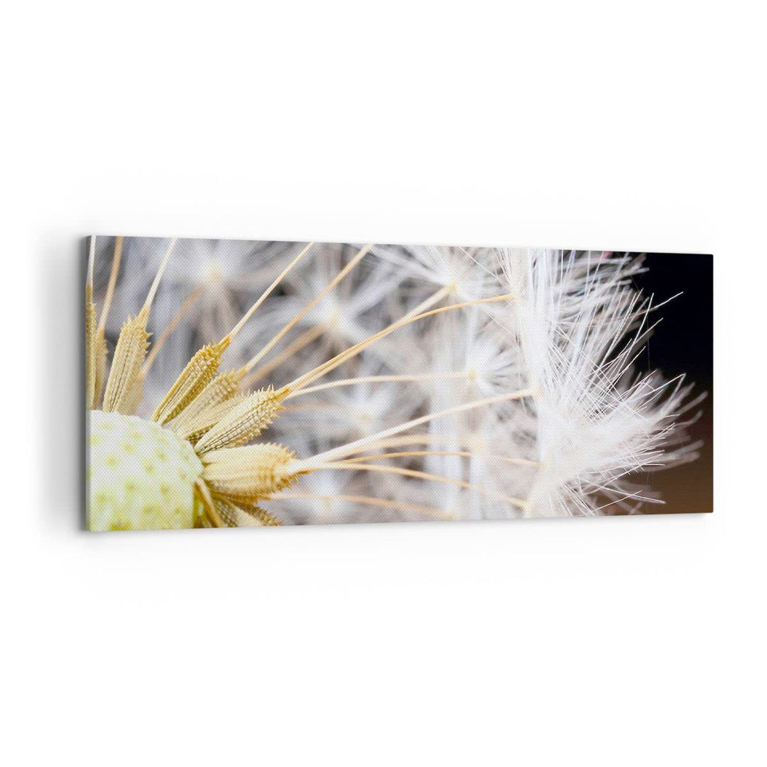Wandbilder Dekoration Wohnzimmer Baby Sommer Pflanze Panorama Bilder auf Leinwand 120x50cm Leinwandb