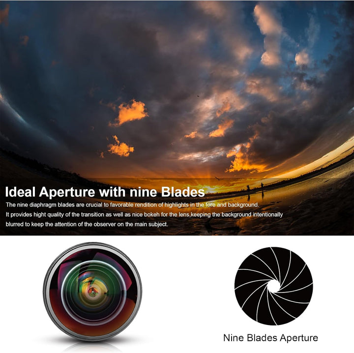 Meike Optics MK 8mm f3.5 Fisheye-Objektiv Ultra-Weitwinkel für Nikon D850 D750 D780 D610 D3300 D3400