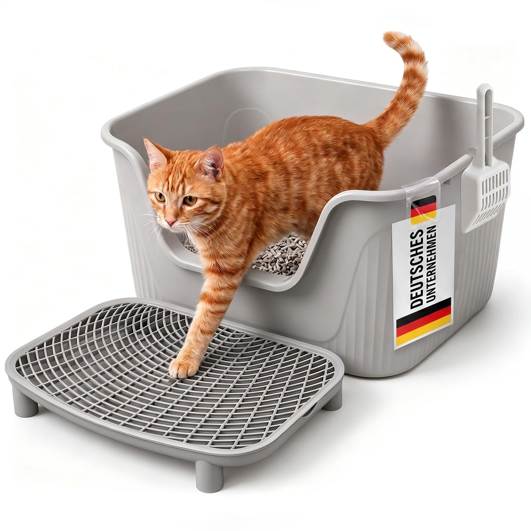 Katzenklo Mit hohem Rand, Grau Katzentoilette Offen Standard (60L) – 54x40x27 cm, Matte & Schaufel,