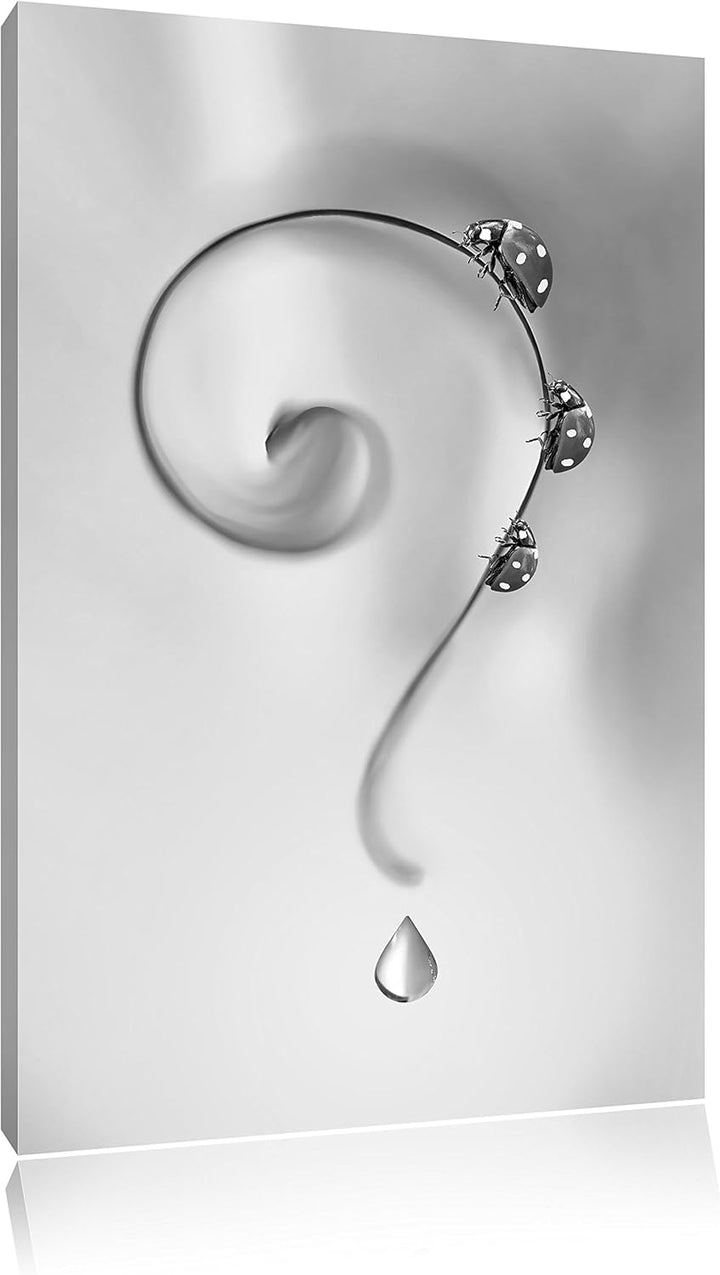 Pixxprint Marienkäfer als Leinwandbild/Grösse: 100x70 / Wandbild/Kunstdruck/fertig bespannt, 100x70