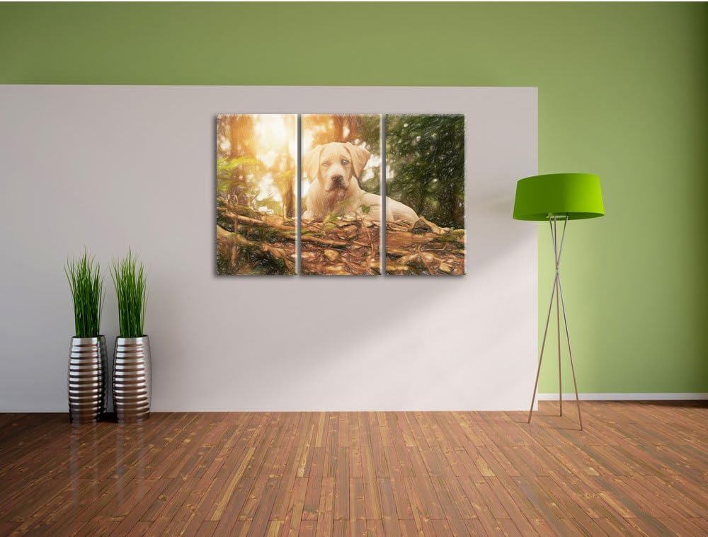 Pixxprint Hund im Wald bei Sonneuntergang / 3-Teilig/Gesamtmass 120cm Leinwandbild bespannt auf Holz