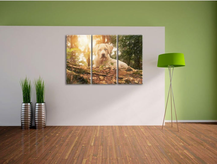 Pixxprint Hund im Wald bei Sonneuntergang / 3-Teilig/Gesamtmass 120cm Leinwandbild bespannt auf Holz