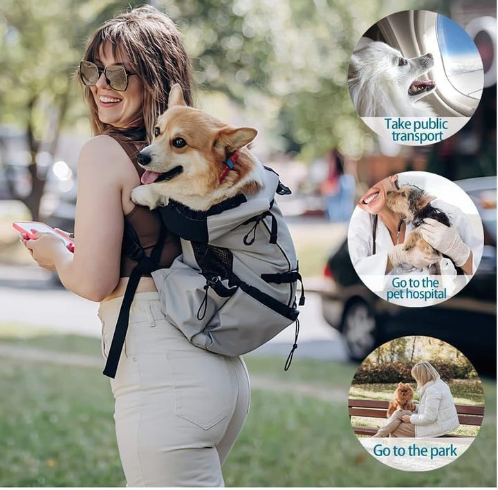 PETCUTE Hundetasche Hundetransporttasche Tragetasche füR Hunde Katzen Wanderrucksack Seite Atmungsak