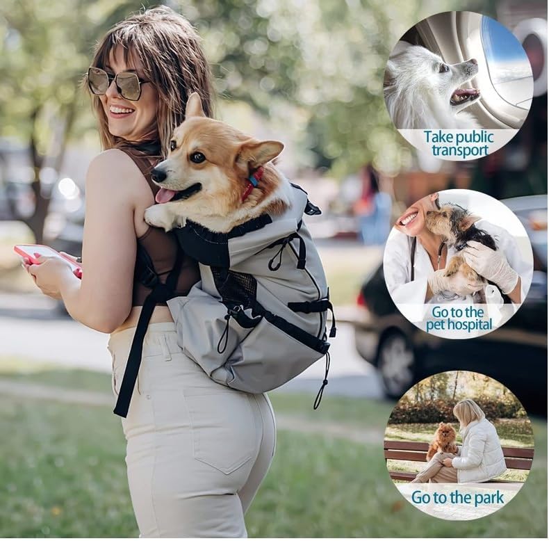 PETCUTE Hundetasche Hundetransporttasche Tragetasche füR Hunde Katzen Wanderrucksack Seite Atmungsak