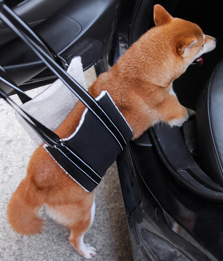 Ganzkörper Tragehilfe, Treppenhilfe, Dog Carrier Hundetrage, Tragegurt, Verstellbarer Hunde Tragehil