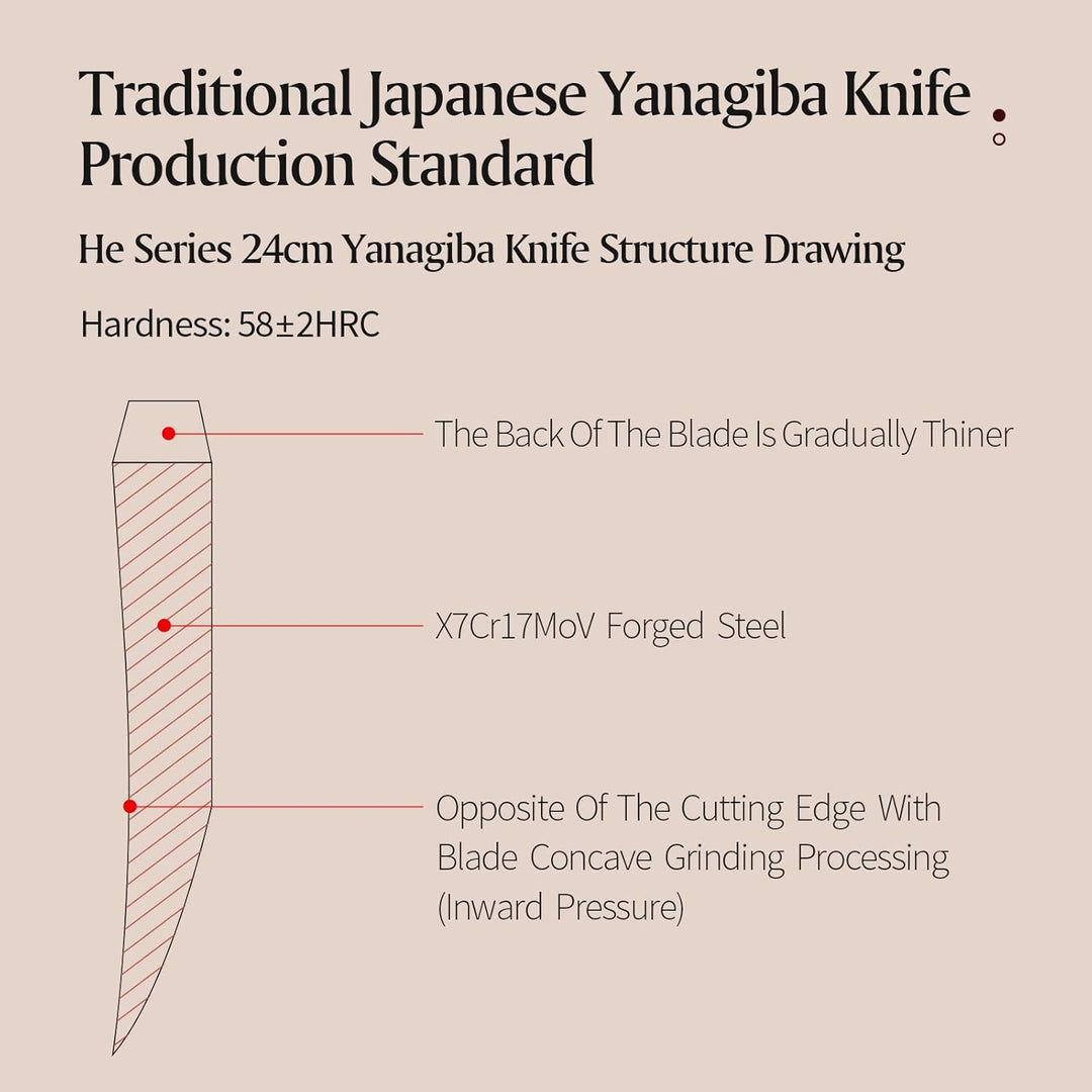 XINZUO 24cm Edelstahl Yanagiba Messer, X7Cr17MoV Stahl Sashimi Messer Einzelfase Klinge -Geschmiedet