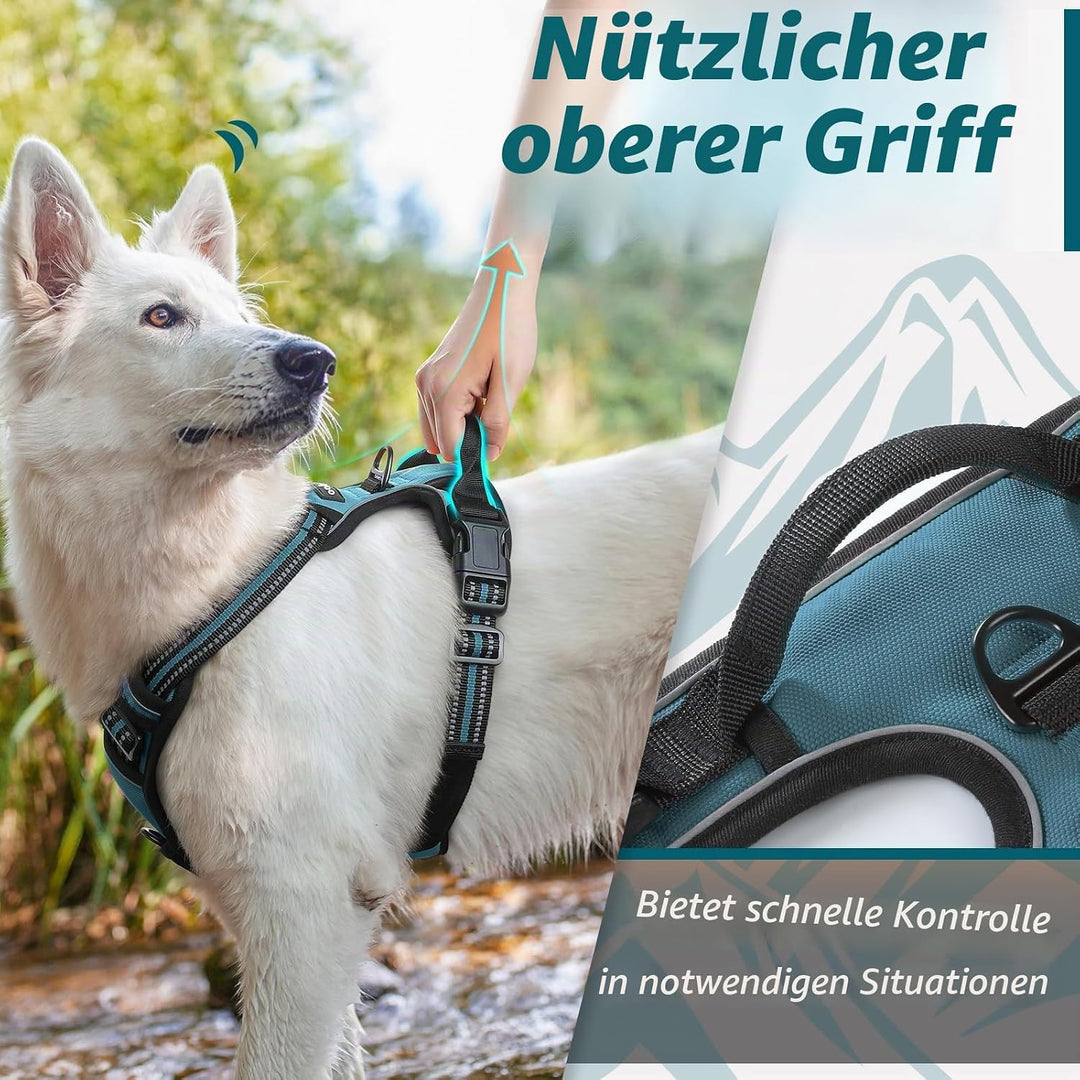 Eagloo Hundegeschirr Kleine Hunde, Anti Zug Hundegeschirr mit Reflexstreifen und Kontrolle, Verstell