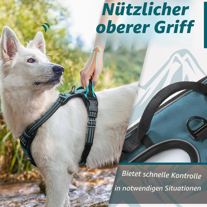 Eagloo Hundegeschirr Kleine Hunde, Anti Zug Hundegeschirr mit Reflexstreifen und Kontrolle, Verstell