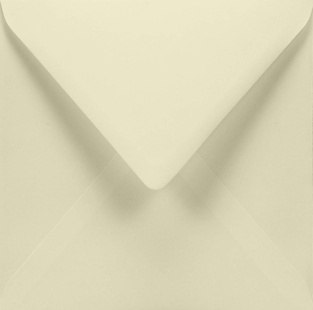 Netuno 100 quadratische Briefumschläge Elfenbein ohne Fenster 15,5 x 15,5 cm 120g Aster Smooth Ivory