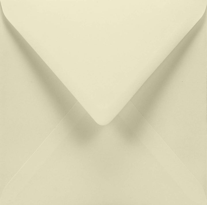 Netuno 100 quadratische Briefumschläge Elfenbein ohne Fenster 15,5 x 15,5 cm 120g Aster Smooth Ivory