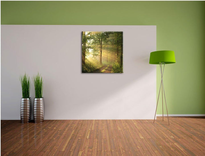 Waldweg im Winter, Format: 70x70 auf Leinwand, XXL riesige Bilder fertig gerahmt mit Keilrahmen, Kun