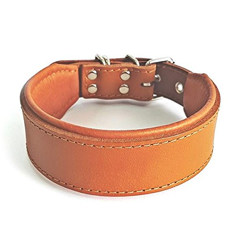 Bestia™ "Classic Echtleder Hundehalsband. 100% Leder. Weich gepolstert. TOP Qualität! XXS- Halsumfan