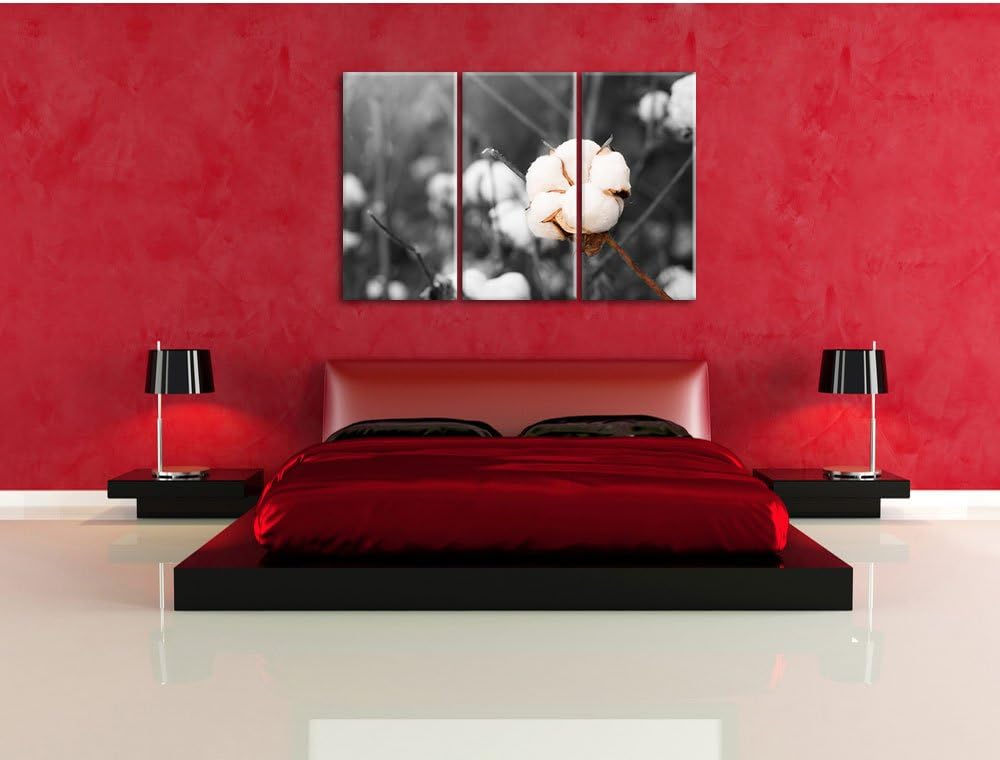 Pixxprint eine ausgereifte Knospe voller Baumwolle B&W Detail 3-Teiler Leinwandbild 120x80 Bild auf