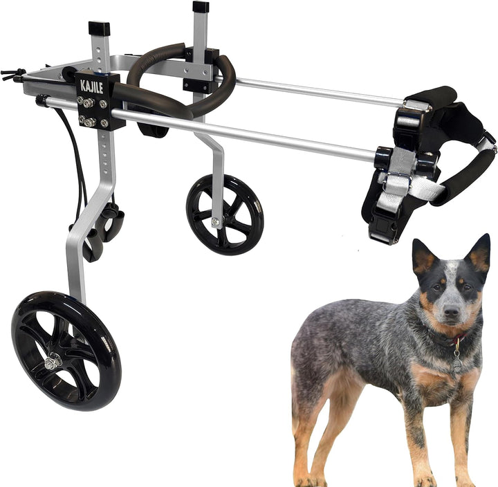 KAJILE Verstellbarer 2-Rad-Hunderollstuhl, L-1 Grösse für behinderte Hund Hinterbeine Rehabilitation