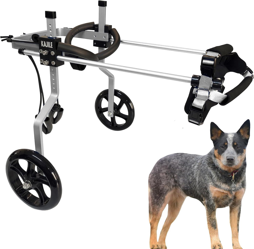 KAJILE Verstellbarer 2-Rad-Hunderollstuhl, M-1 Grösse für behinderte Hund Hinterbeine Rehabilitation