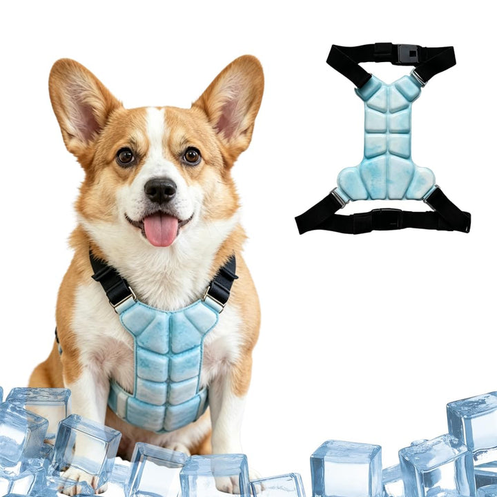 Hundekühlweste PCM Kühlgeschirr, Sommer Kühlmantel für Hunde, Atmungsaktive Kühlkleidung für Outdoor