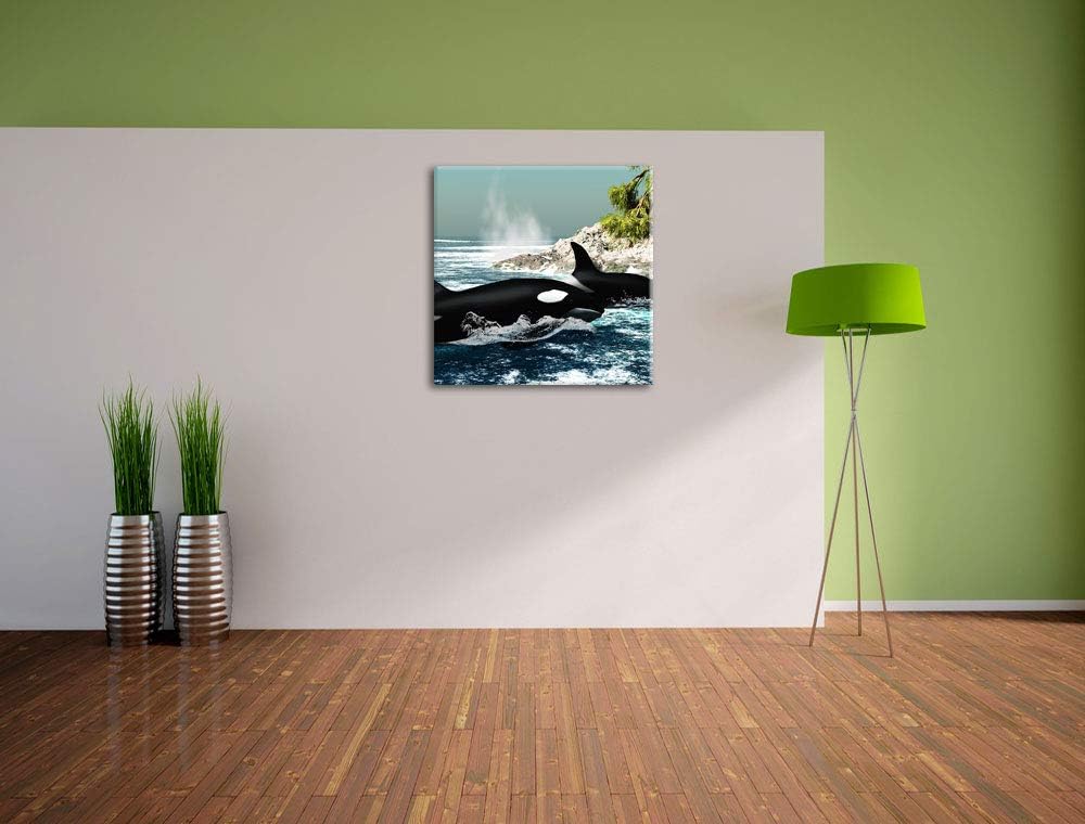 Pixxprint Orcas vor Insel, Format: 70x70 auf Leinwand, XXL riesige Bilder fertig gerahmt mit Keilrah