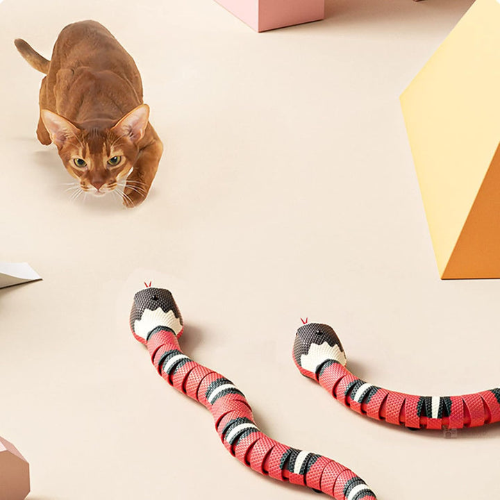 Syfunlv Ferngesteuerte Schlange Elektrisches Spielzeug, USB aufladbar Interaktives Katzenspielzeug m