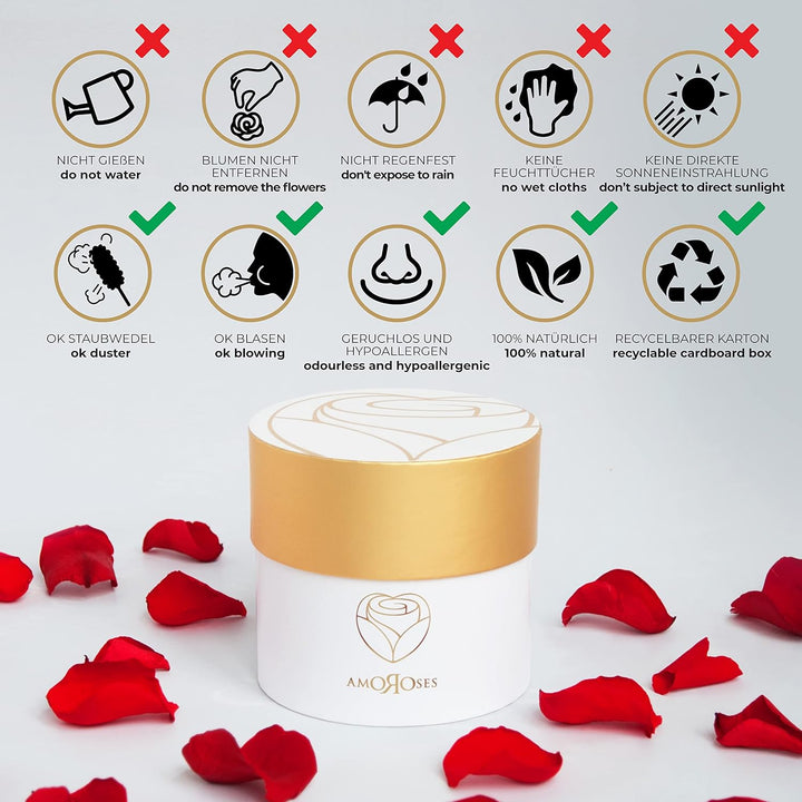 Amoroses Petite - Geschenkbox 5 ewige stabilisierte Rosen - Eleganter Strauss echter Blumen | Gesche