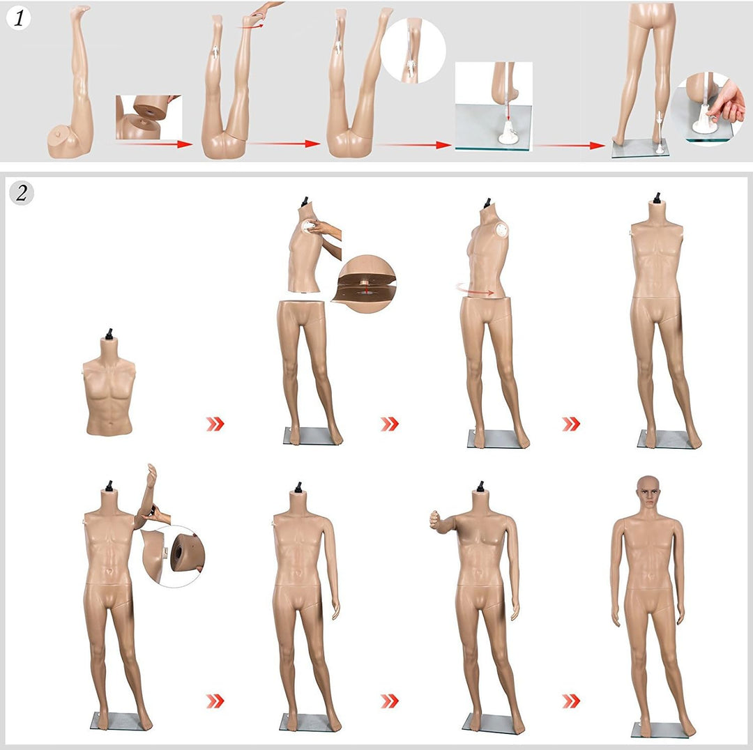 schöne weibliche Schaufensterpuppe SSF-4 2 Perücke gratis Hautfarbe ,Metall-Standplatte mit Wadendor
