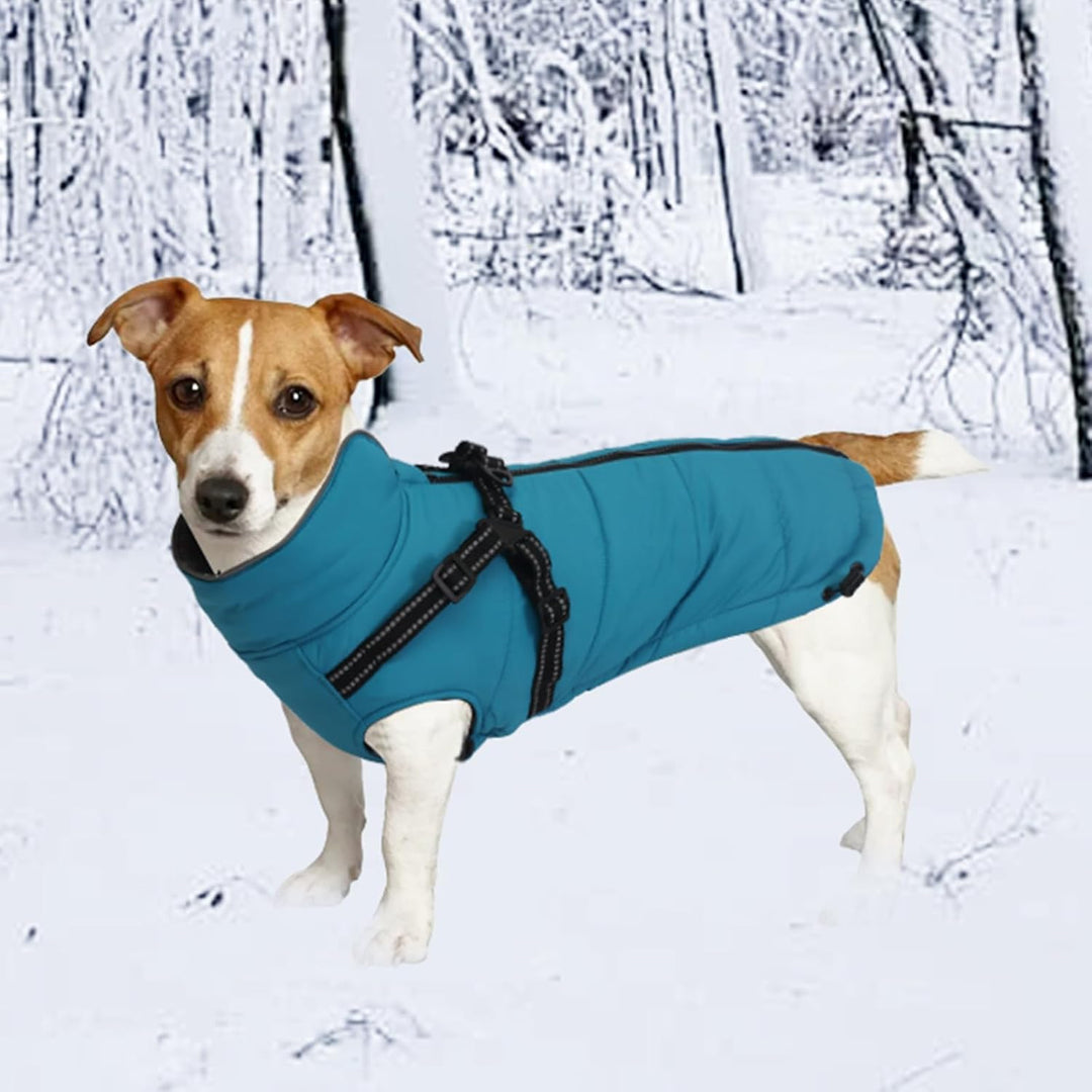 MOREZI Winterhundejacke, wasserdichte Aussenschicht, Fleecefutter, Rückenreissverschluss-Design, mit