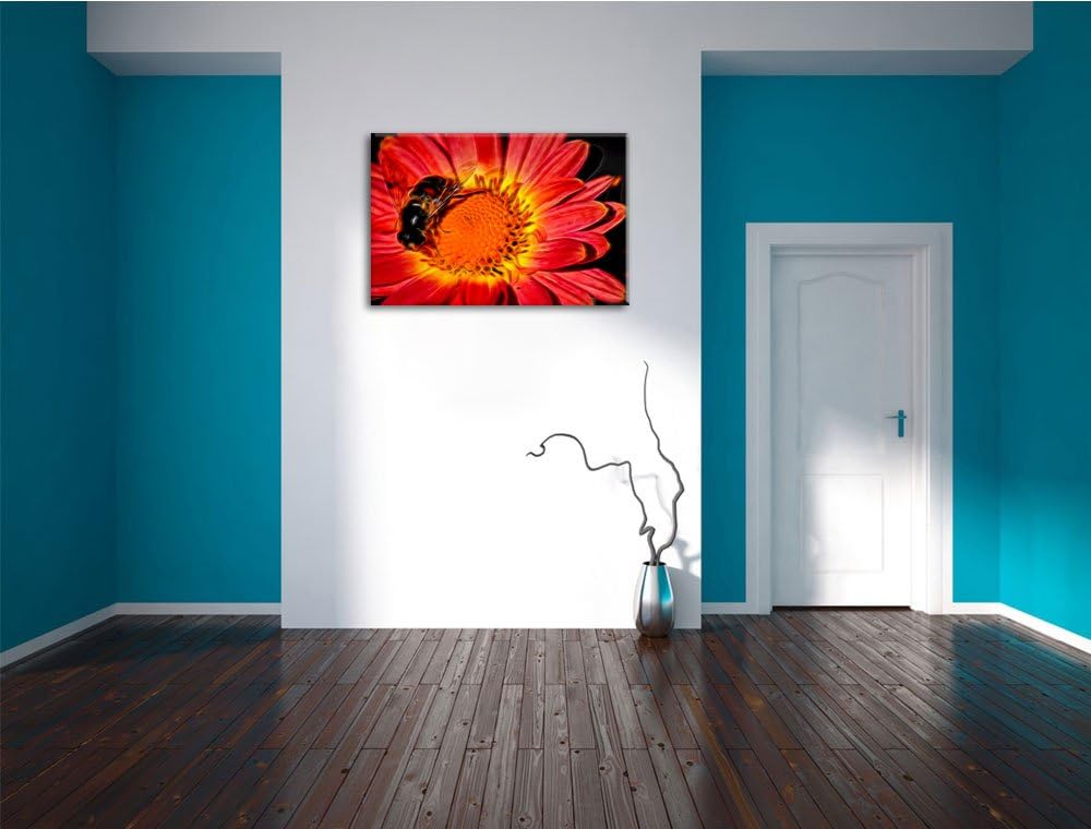 winzige Biene auf Margarete schwarz/weiss Deluxe Format: 100x70 cm auf Leinwand, XXL riesige Bilder