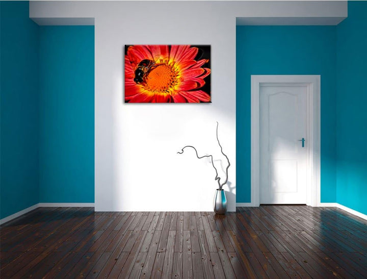 winzige Biene auf Margarete schwarz/weiss Deluxe Format: 100x70 cm auf Leinwand, XXL riesige Bilder